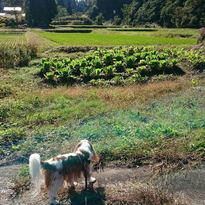 5dee25e2 4400 4d94 88c4 e31df76759ea 1540714221151