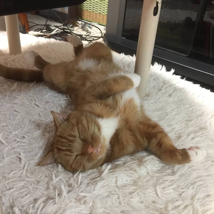 5dee6969 3874 486d a700 c7003d588315 1592125975972