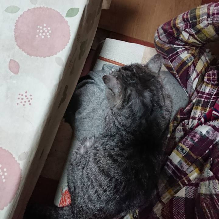 5deec880 e404 49c0 959e cce045054213 1576371256683