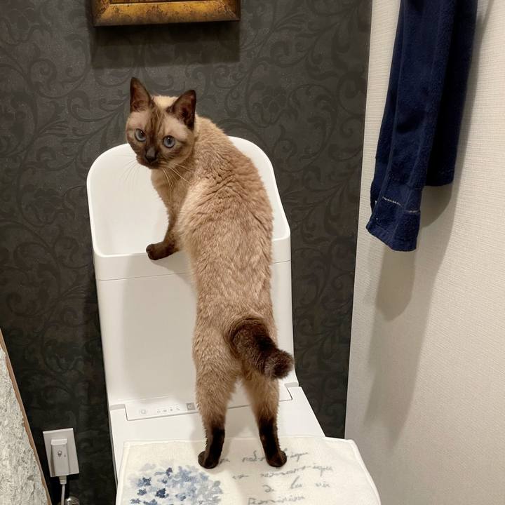 5def2350 dc88 429d a097 64e41185654b 1757171802521