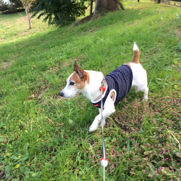 5def2a71 eade 412b 8c37 0c625a56a803 1603509813406