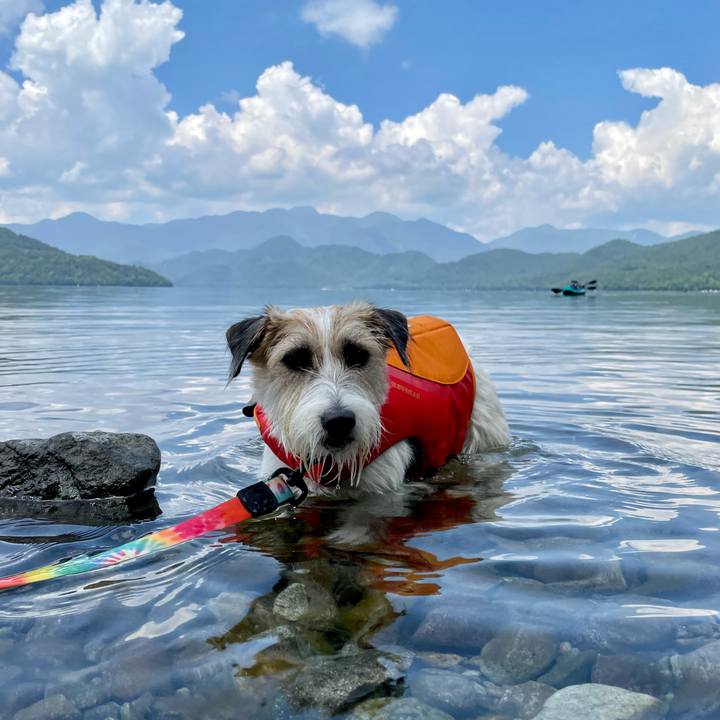 5def384d 8020 4396 970f a030683b68ef 1691240776421