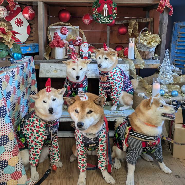 5def38e9 6544 4406 ac30 6ba246bada5d 1734922727677