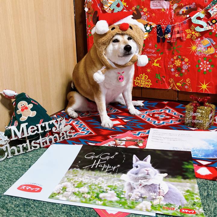 5def43c8 a28a 49ac 900d d2d01060f32e 1671433734594