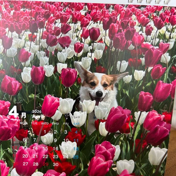 5def6f22 87a6 4e57 b934 cee9b273c648 1775020873007