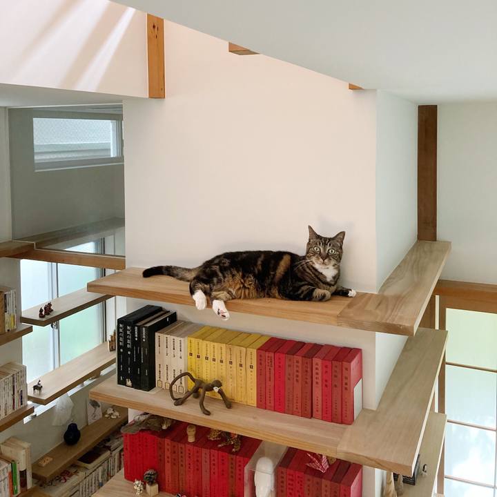 5defc808 7972 45b2 b307 96ce7b01d588 1595463997843