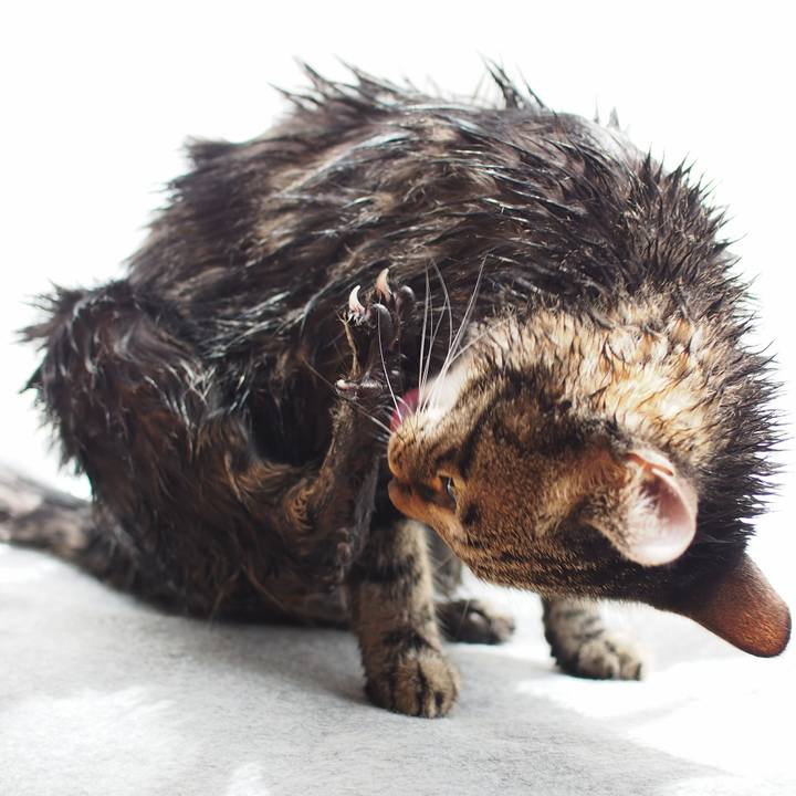 5defca2f 827c 4e4b a523 4047bcb131c0 1569726459974