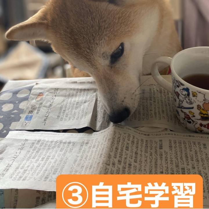 5df06c0a 43a3 4fe4 a1de 58b7c36fe5af 1741896102518