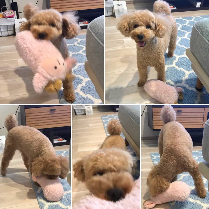 5df0859e daea 4d42 9e20 6df4a3db4c03 1560504561351