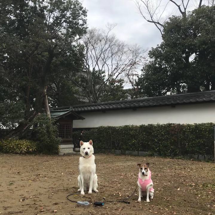 5df08718 d27a 4725 8a40 6b7778d95546 1512872757622