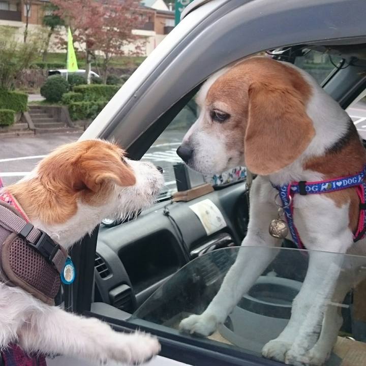 5df0a634 8b56 46b1 8630 8a013bde3157 1539696158653