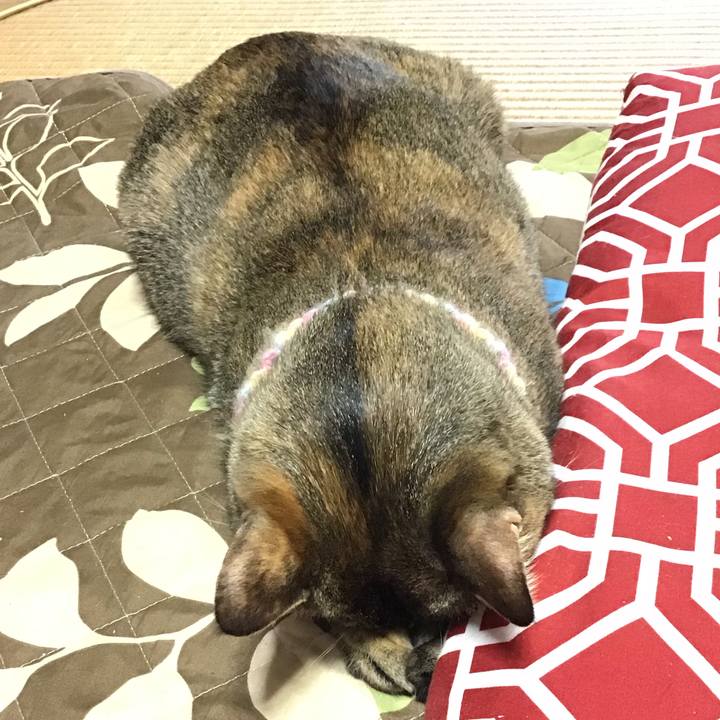 5df0c8b8 0880 4f94 9750 84d27b3d7a03 1616301742849