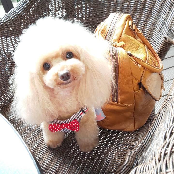 5df10b4b 9c11 4ff5 9978 0cacf1e226a9 1563506139713