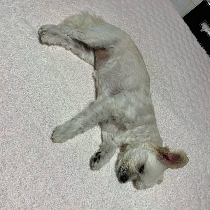 5df121ac b3dd 40b5 900d 5f8bba14b026 1632920252741