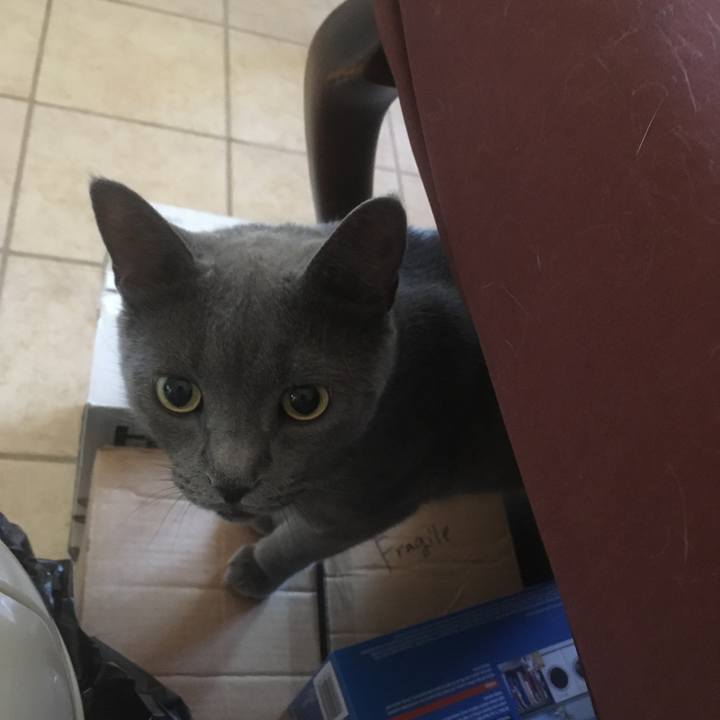 5df1394d 13f3 46bb bd65 8dd817c44c48 1660955294229