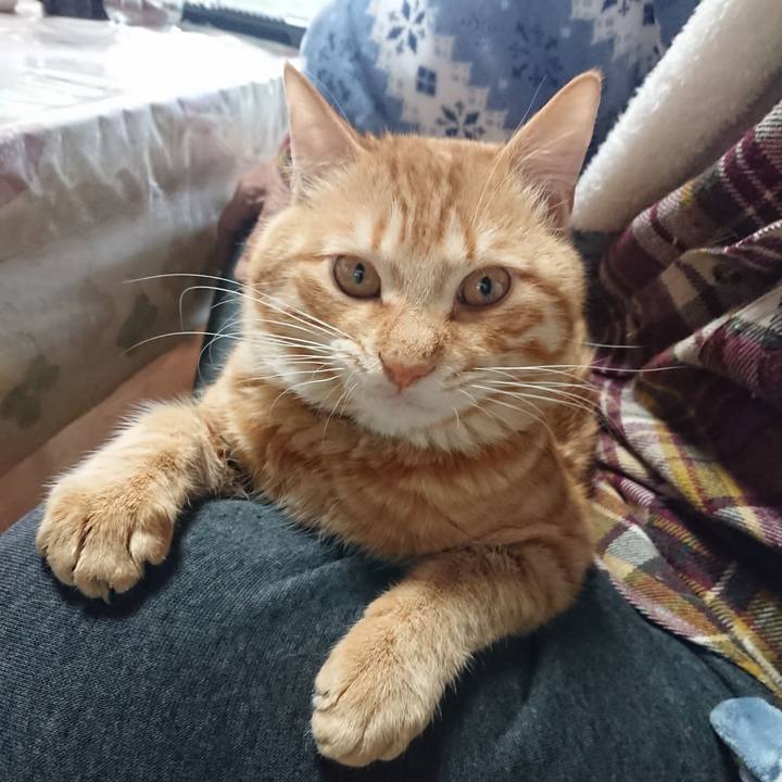 5df19691 5aa8 4a2c 97d0 2f4edb314b3a 1648365273931