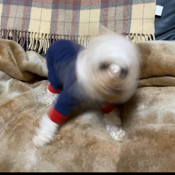 5df19705 7ef5 443b aca5 c087c71a6429 1613556651552