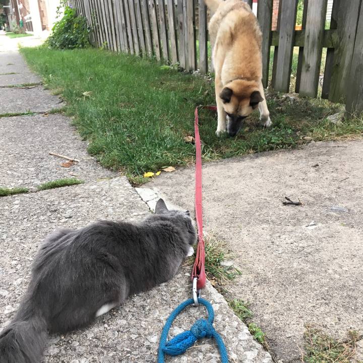 5df1b65c e308 4f57 9cbd 1de159c5fa94 1538275016293