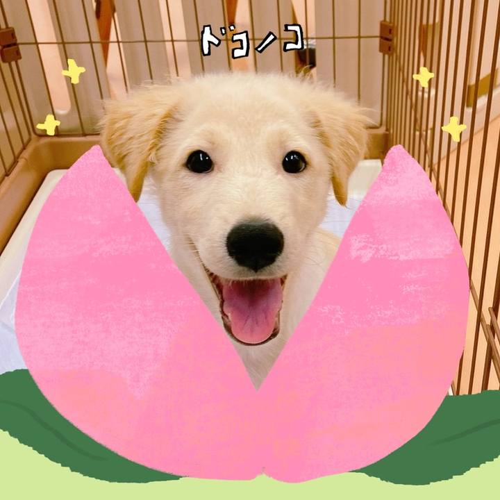 5df1bbbd baeb 4aad 97c9 49f8f7fcc4bf 1772149205862