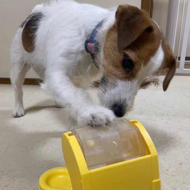 5df1da3f c75b 4502 a2a8 5ac129732b07 1769260474771