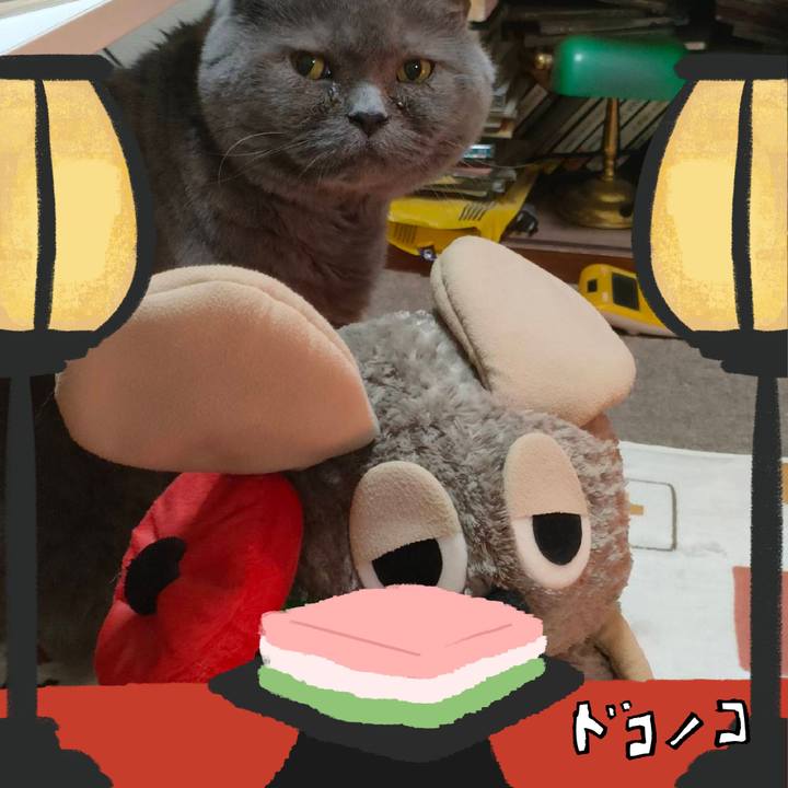 5df1e1bd 70b3 4b5d a2c6 0a2492bd97ad 1741502277271