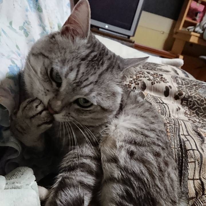 5df2e17b 6cda 49fb 8bc0 90e9a1607f31 1558532574074