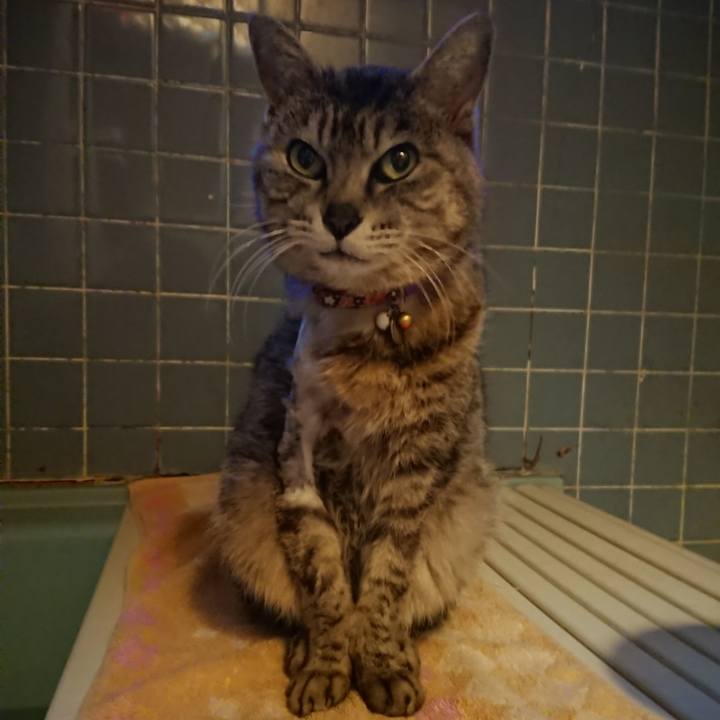 5df32595 e4d0 49c5 94eb 8f70dec8abb1 1590054855916