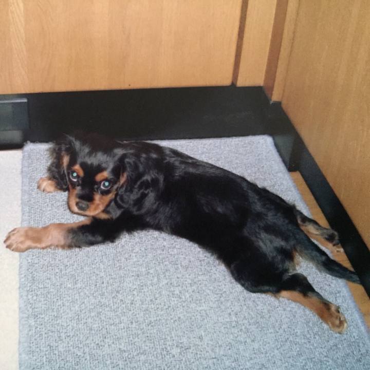 5df3434f e1a0 4ee6 81ae 8c13121b2d0e 1536024305080