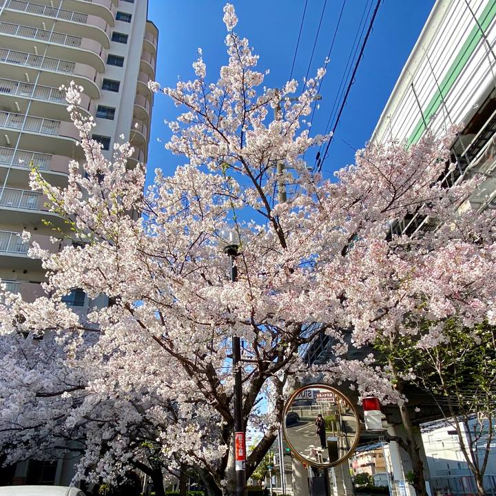 5df3481b 0458 400d a852 7b87e819d8f1 1586055700441