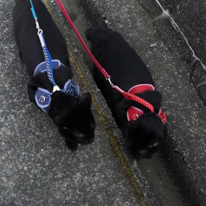 5df35eb8 3ad5 43d5 b9e6 4c5aa9c9fc01 1518254929966