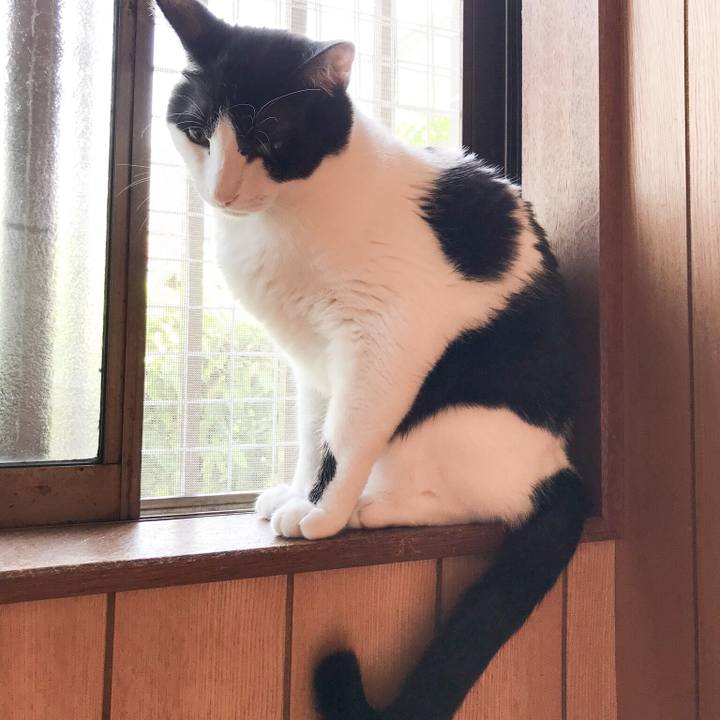 5df38796 783e 4432 b8ef 24c0844792d9 1528854097187