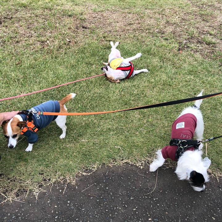 5df39063 4c7f 4da2 8fec 4caaf697fee6 1571637849384