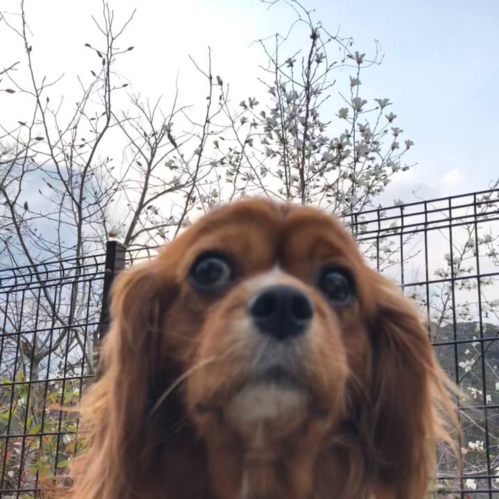 5df3abb0 89ac 492c 84b5 8b607e22633b 1585088172724