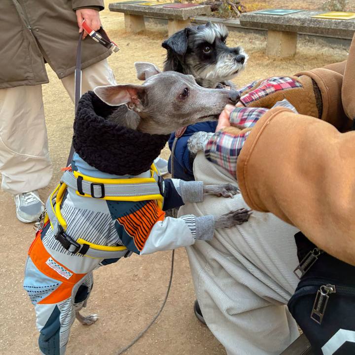 5df3d9ba fa2e 4ab4 9d5b 8057d2a20dac 1770806939532