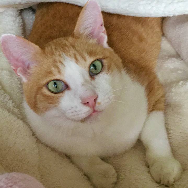 5df3dcdf c4ea 441c a85a 368dd4ebad45 1601274614027