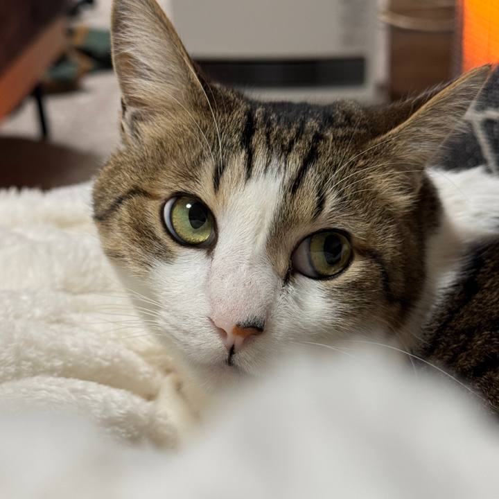 5df43d2c d5a8 4443 acc7 3b94f69fae3b 1767527220766