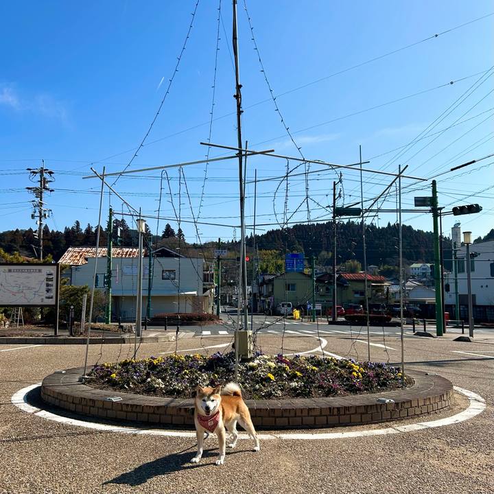 5df44dc6 41a2 4bbb 942f e4e381c483fe 1707901233421