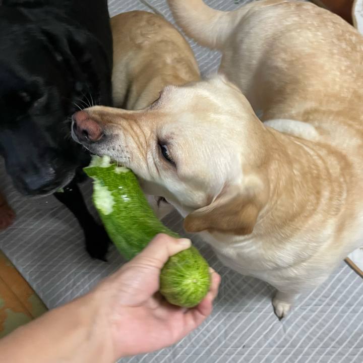 5df46059 de3e 4c5f 9515 3270ab476127 1752920978745