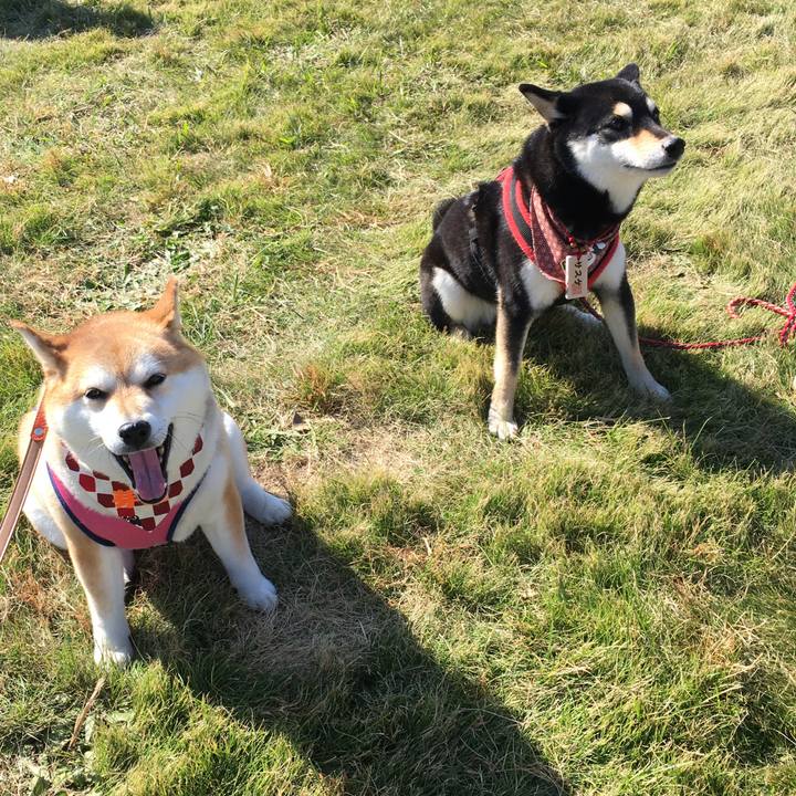 5df47cdd e8a9 4a71 a64e ba0014946abc 1573917014407