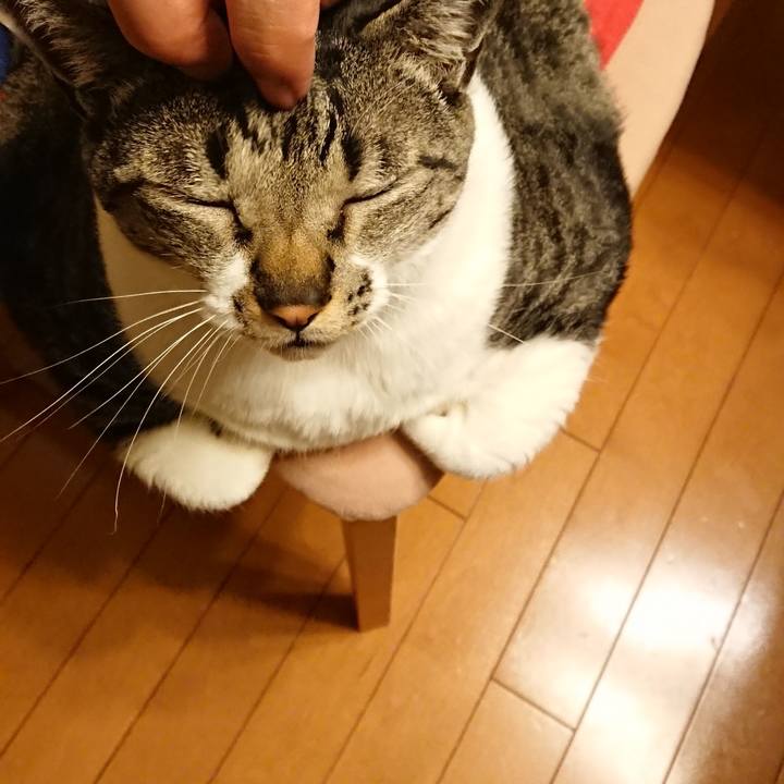 5df49d64 1a79 4b89 9bf8 ee5c063b5a26 1521857039057