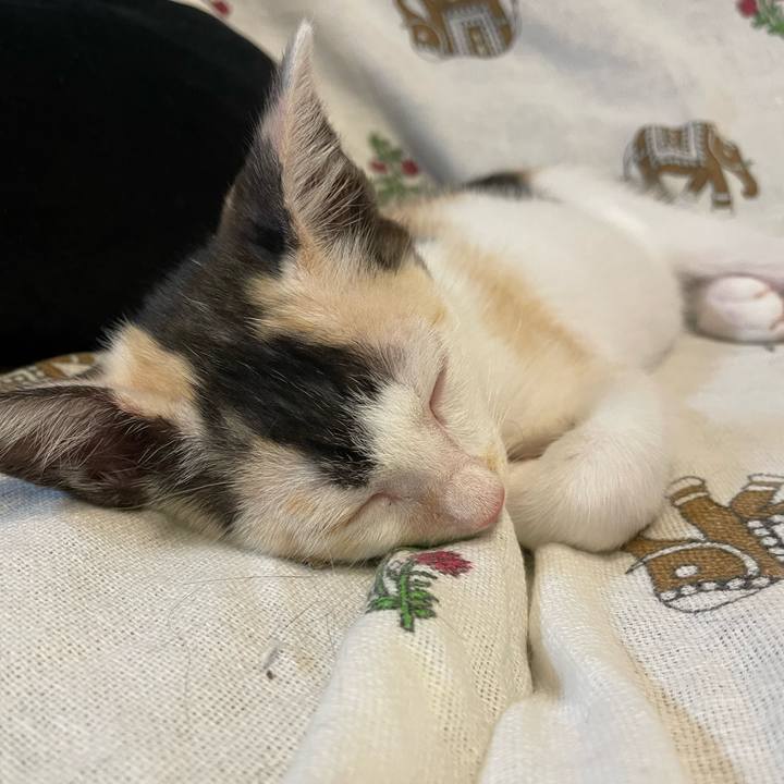 5df4d6d7 8e1c 4cab 9a59 22fc3a9059dd 1658400959216