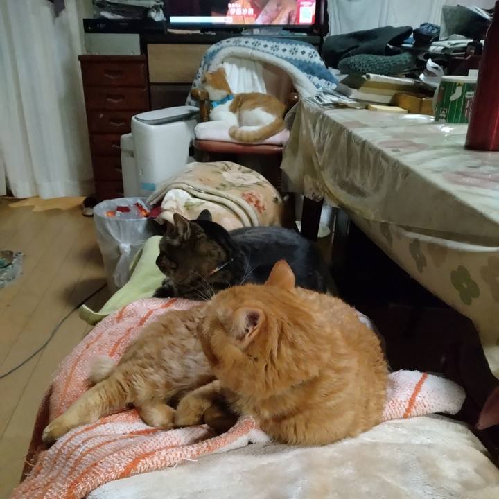 5df4f947 65d1 4f8c b361 3a59c991f06b 1735386962849