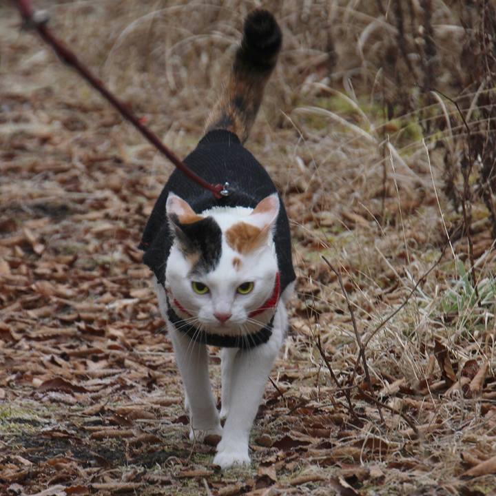 5df52ebd c5fb 41e4 bfee 5809bbc7fc2b 1579831462939