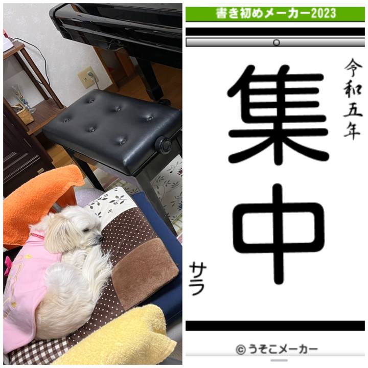 5df53a05 e3e1 4b75 b92d a5490efa055c 1672907078938