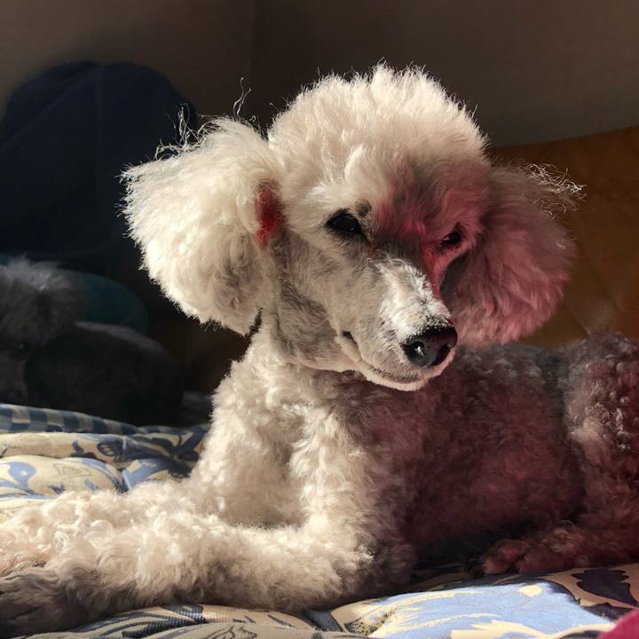 5df53c28 6d9f 4d3f a83a a3b0ea05b591 1613288545891