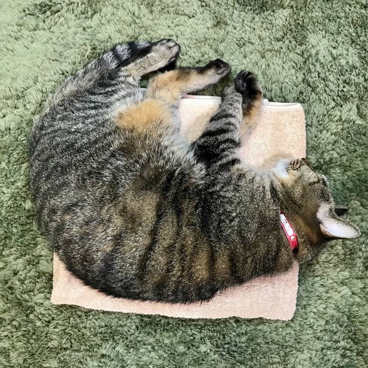 5df5478d ff35 4a39 8069 a75bf056d6b5 1631368876736