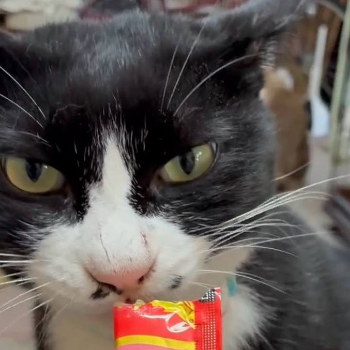 5df5f169 d8b5 4906 9b6e e21193492ce1 1761447323280