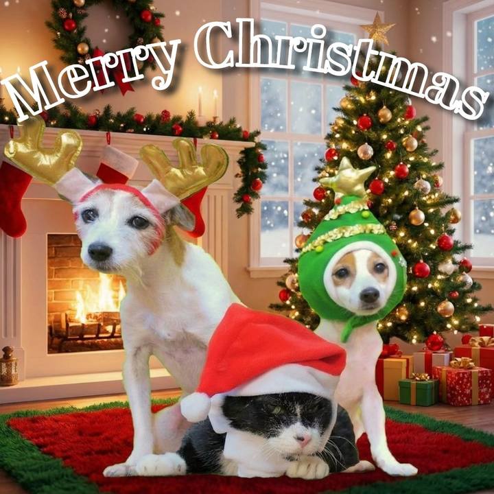 5df6b613 a9e5 4fa6 b198 8cff8a4cda0d 1766664173535