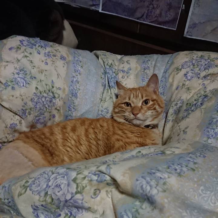 5df6ba46 6da9 41a2 bce6 7492ffb2e25c 1654981135081