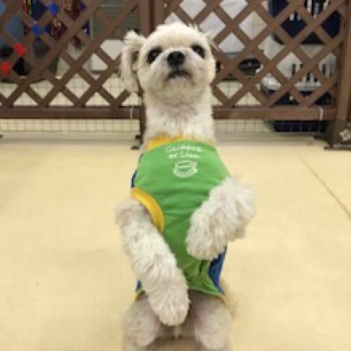 5df6cb8e c81f 4053 bcfa 43442ede078a 1519128410063